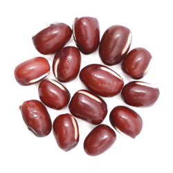 Adzuli Bean