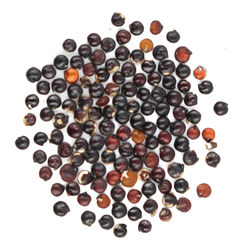 Black Quinoa