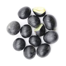 Black Soybean