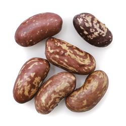 Speckled Kidney Bean