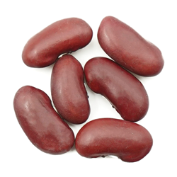 Red Kidney Bean