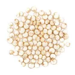 White Quinoa